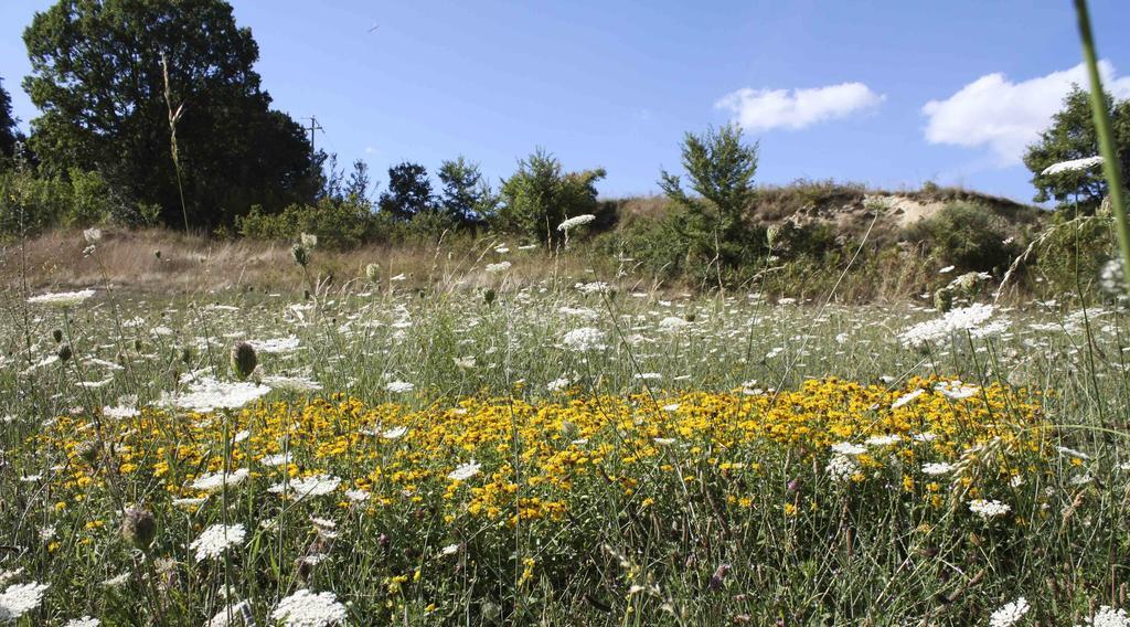Casa Vacanze Antico Poggio Poggio San Giovanni Bagian luar foto
